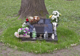 baner1