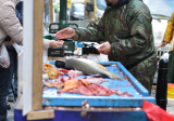 Zabíjanie kapra sa zaobíde bez zvuku, ryby na trhoviskách zabijú a vyčistia aj predavači, ilustračné foto, autor JirkaF, www.pixabay.com, 650069.jpg