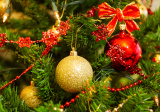 Detail vianočného stromčeka, ilustračné foto, autor Ondera 9471.jpg