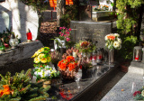 baner1