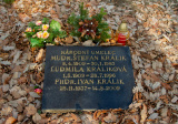baner1