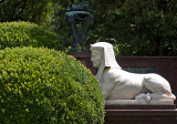 baner1