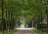 baner1