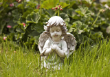 baner1