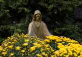 baner1