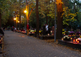 baner1