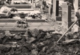 baner1