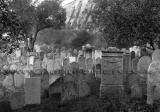 Starý cintorín, uprostred hrob Chatama Sofera, foto Hofer, poskytlo SNM Viera Kamenická