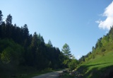 baner1